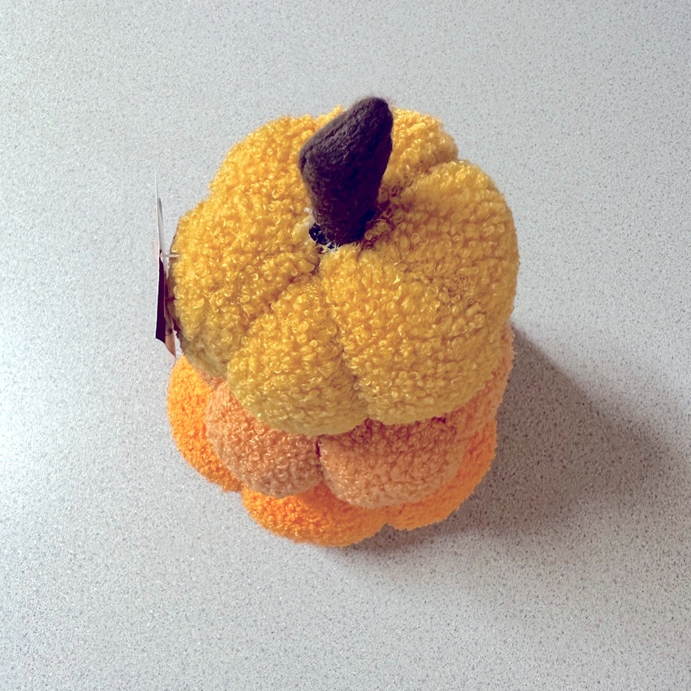 Fall decor - Picture 4 of 4